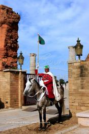 Image du Maroc Professionnelle de  Un cavalier de la garde royale devant l'entrée de l'esplanade de la mosquée (Tour Hassan) qui fît construite à la fin du XIIe siècle par le Sultan Yacoub el Mansour (dynastie Almohade) désireux de construire la plus grande mosquée du monde doté de 400 colonnes, la construction n’a pas été achevé suite à la mort du sultan en 1199, La tour Hassan est le symbole de Rabat son esplanade abrite le Mausolée Mohammed V de Rabat, Jeudi 1er Mars 2007.(Photo / Abdeljalil Bounhar)
